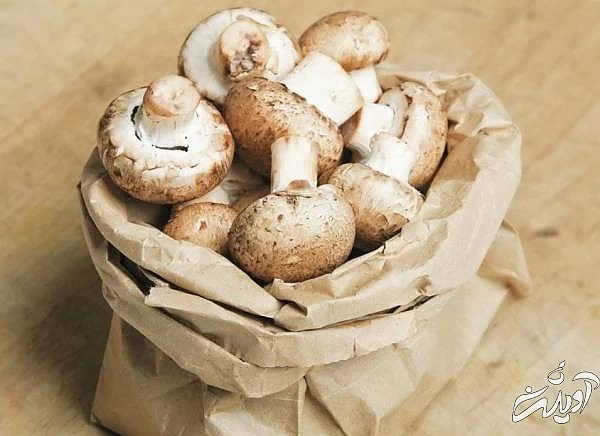 جلوگیری از سیاه شدن قارچ کیسه کاغذی برای نگهداری قارچ